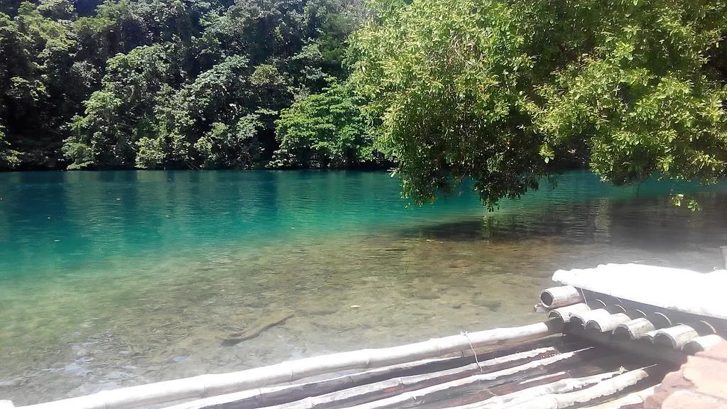 La Familia Guest House&Natural Farm Port Antonio