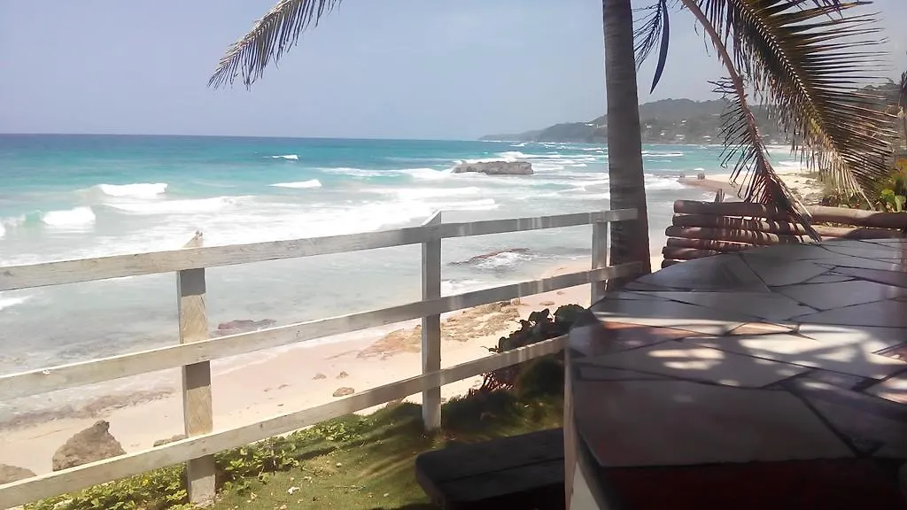 Resort La Familia Guest House&Natural Farm Port Antonio